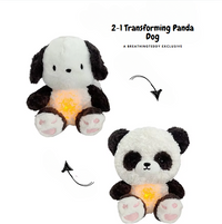 Transforming Panda Dog